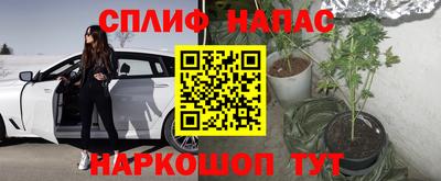 spice Азнакаево