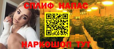 гашик Абакан
