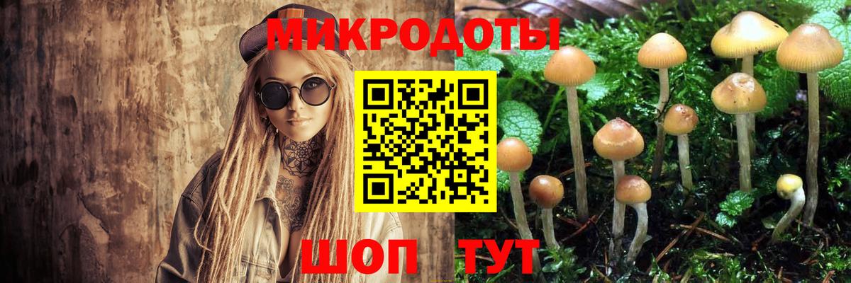 Альфа ПВП СК   Анжеро-Судженск  Марихуана  Вход с VPN  Меф   ГАШИШ  НБОМе 
