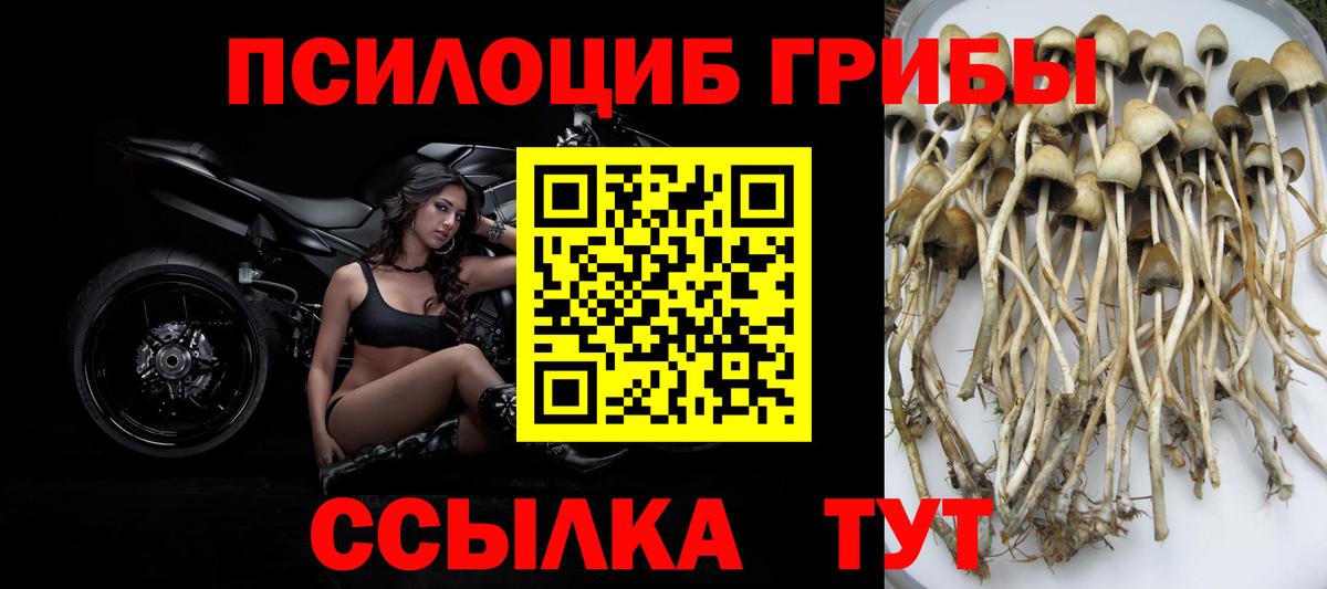 Анжеро-Судженск  Псилоцибиновые грибы мухоморы  Вход с VPN 